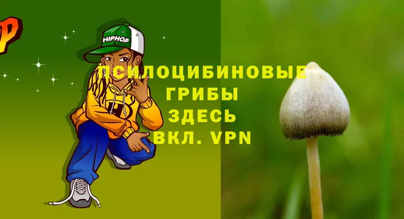 Псилоцибиновые грибы MAGIC MUSHROOMS  Десногорск 